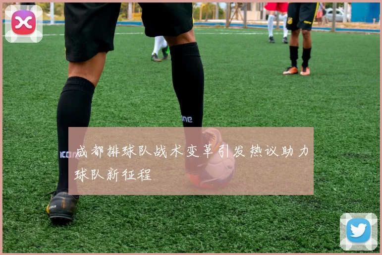 成都排球队战术变革引发热议助力球队新征程