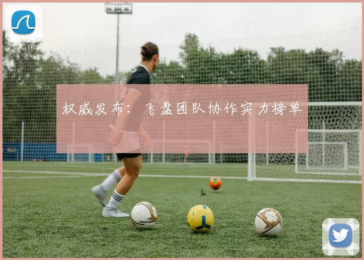 权威发布：飞盘团队协作实力榜单