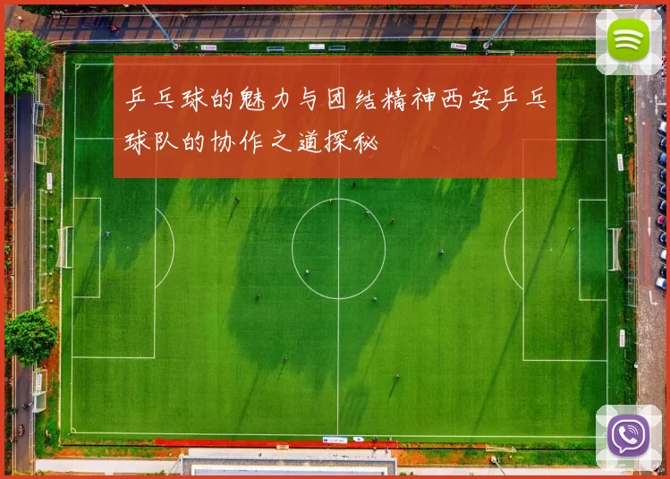 乒乓球的魅力与团结精神西安乒乓球队的协作之道探秘