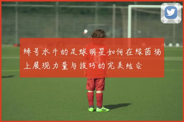 绰号水牛的足球明星如何在绿茵场上展现力量与技巧的完美结合